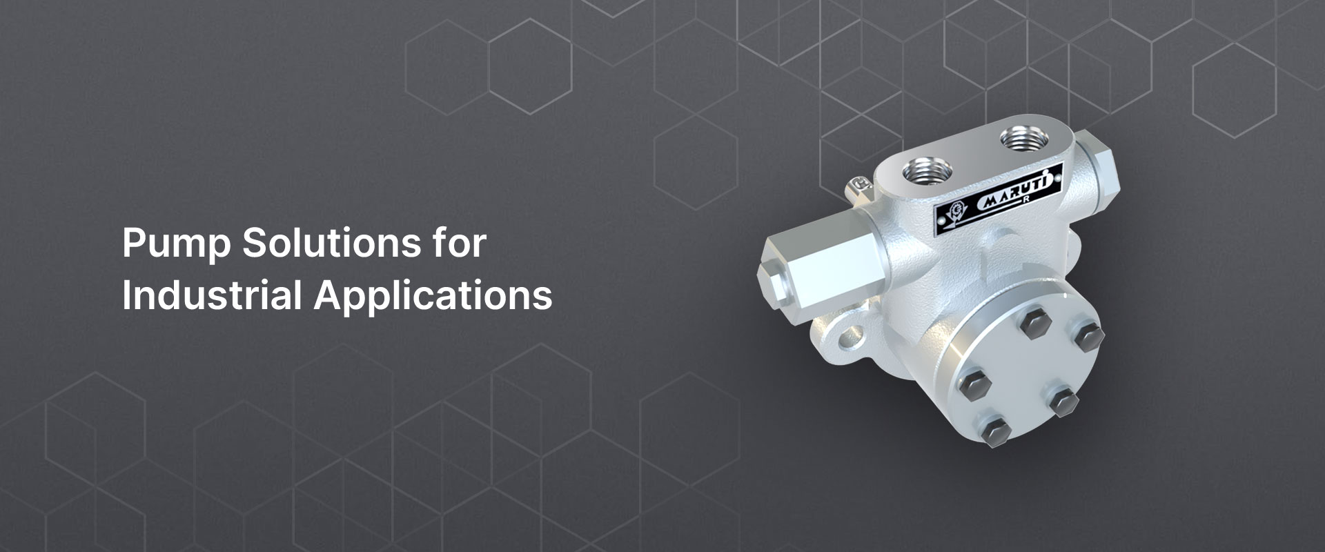 Heavy Duty Gear Pump from India